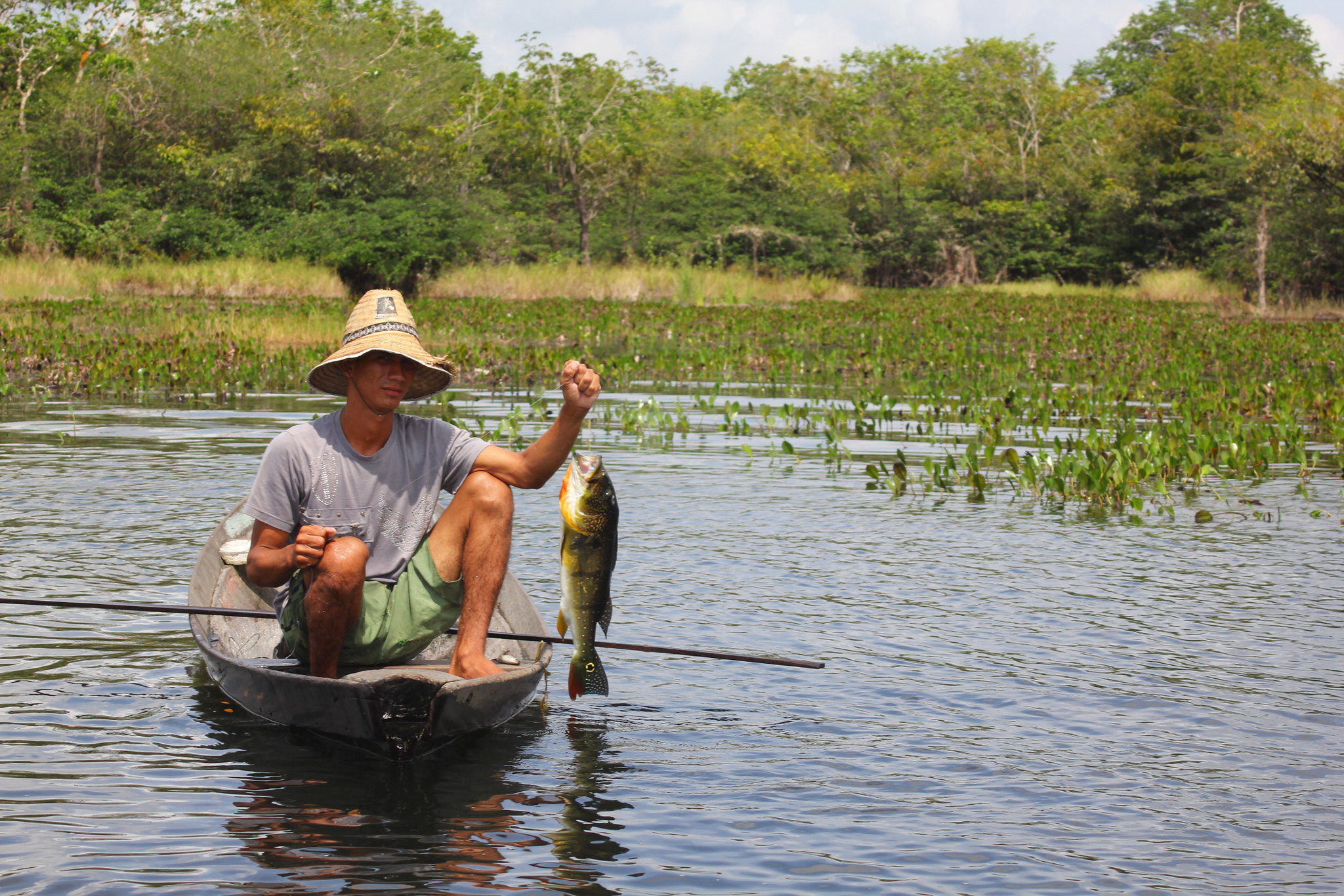 Agropecuária - geral - conservação preservação ambiental produção agrícola pesca pescador subsistência Incra reforma agrária peixes alimentação rural (reserva extrativista Renascer, Prainha-PA) Agropecuária - geral - conservação preservação ambiental produção agrícola pesca pescador subsistência Incra reforma agrária peixes alimentação rural (reserva extrativista Renascer, Prainha-PA)