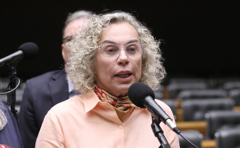 Discussão e votação de propostas legislativas. Dep. Ana Paula Lima (PT - SC)