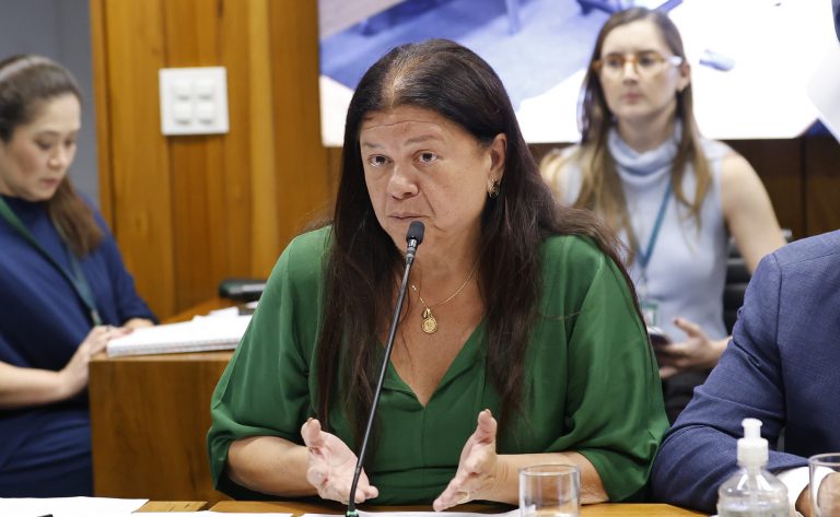 Reunião de líderes. Dep. Laura Carneiro (PSD - RJ)