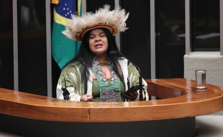Homenagem ao Dia Mundial do Meio Ambiente. Dep. Sônia Guajajara (PSOL-SP)