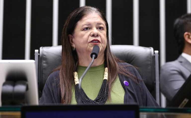 Deputada Laura Carneiro (PSD-RJ) fala no Plenário da Câmara dos Deputados