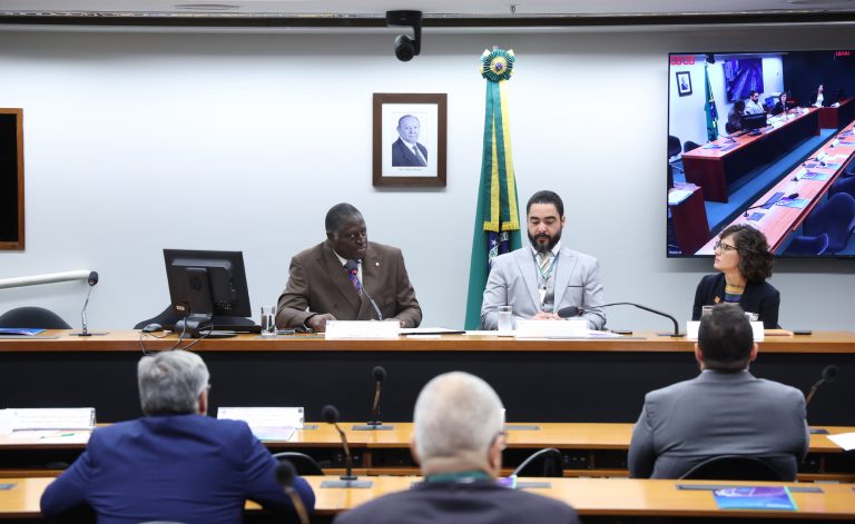 Seminário - Reurbanização das Favelas: desenvolvimento social, conectividade, inclusão digital e trabalho. Dep. Helio Lopes (PL-RJ)Conselheira Técnica - ONU-Habitat, Vanessa de Freitas.